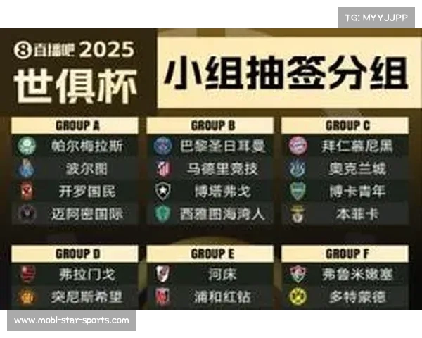 世俱杯举办频率及举办地点 世俱杯举办频率及举办地点